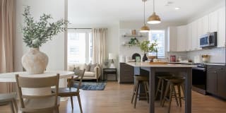 Novel Cary Gallery 1