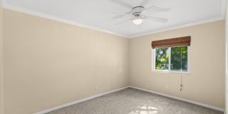 327 Shasta St Gallery 22