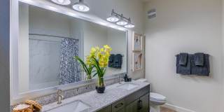 West Mockingbird Gallery 12