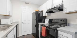 Sawmill Park Gallery 13