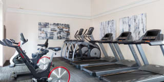 Villa Torino Gallery 29