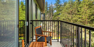 The Pine Gallery 9