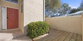 3401 CYPRESS HEAD Court Gallery 50