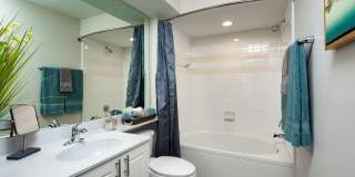 Evergreen Commons Gallery 15