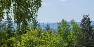 Elevation at Mountain Park Gallery 55