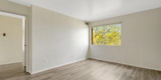 2904 KINGS CHAPEL Road Gallery 20