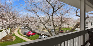 10208-C ASHBROOKE Court Gallery 39
