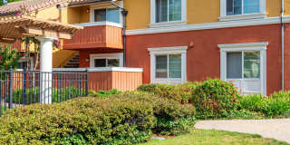 Peppertree Apartments Gallery 53