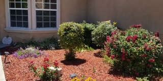 Coming Soon, Beautiful 4 bedroom home for rent Coming Soon, Beautiful 4 bedroom home for rent Gallery 5