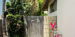LIN236 Gallery 1