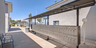 Rise Biltmore Gallery 61