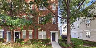 42461 ROCKROSE Square Gallery 1