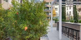 Sevens Luxury Apartment Gallery 171