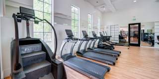 The Alcove Gallery 6