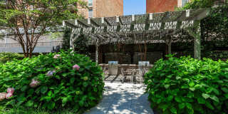 Arrive Silver Spring Gallery 70