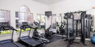 Whitney at The Heights Gallery 17