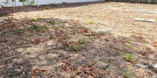 Beautiful 2/2/1 1150 Sq. Ft. with BONUS ROOM!!... tile & luxury plank flooring, Frest paint and a large fenced in yard! Gallery 22