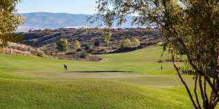 1000 N Wide Open Trail Gallery 78