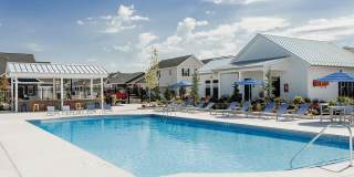 Dupont Meadows Gallery 2