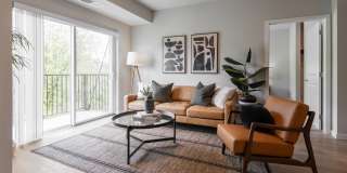 The Aurilla Gallery 55