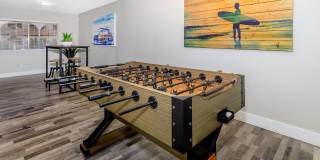 Aster on University Gallery 16