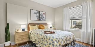 Belmont Buckingham Gallery 24