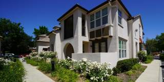 28635 North Pietro Drive - 1 Gallery 1