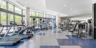 West of Chestnut Gallery 14