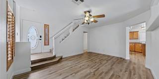 7553 TREASURE CHEST Street Gallery 6