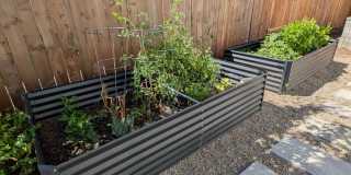 East Medford Cedar Links Living Gallery 34