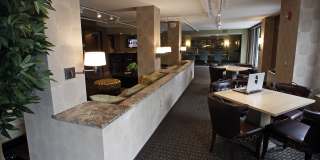 The Pierre Gallery 7