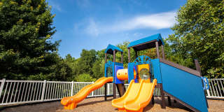 Halton Park Gallery 35