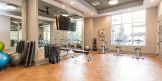 The Southerly Gallery 28