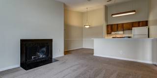 Bluff Ridge Gallery 10