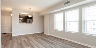 AMLI at Seven Bridges Gallery 4