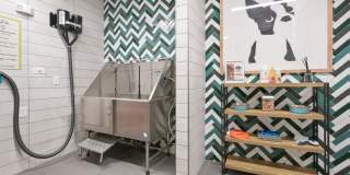 Cue Luxury Apartments Gallery 24