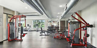 Alinea at Town and Country Gallery 37