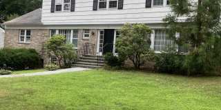 20 Springdale Road Gallery 1