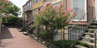 Briarwood Gallery 15