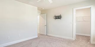 2664 Stellar Loop Gallery 11
