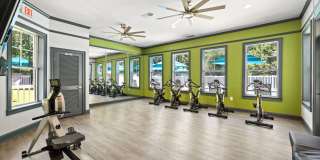 Olympus Fenwick Gallery 28