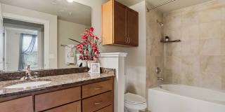 7342 Oak Manor Gallery 34