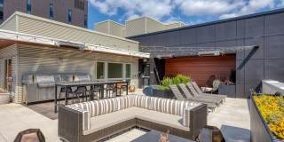 Orion Gallery 10