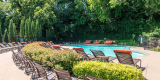 The Falls Gallery 14