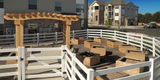 Pinyon Pointe Gallery 6