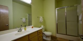 Settlement Place Gallery 425