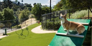 AVA Toluca Hills AVA Toluca Hills Gallery 37