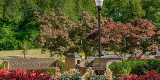 Cavalier Club Gallery 17