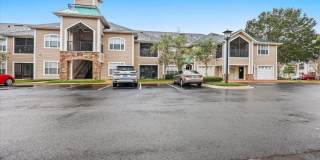 315 RYDER CUP CIRCLE 206 Gallery 1