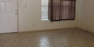 12477 SOMBRA FUERTE Gallery 3